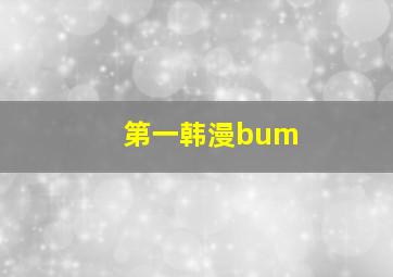 第一韩漫bum