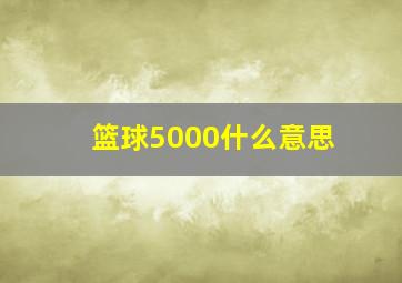 篮球5000什么意思