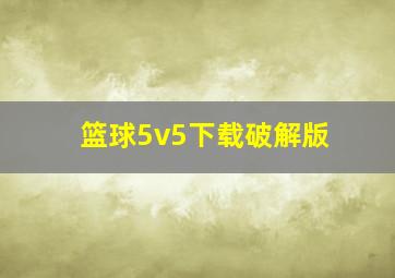 篮球5v5下载破解版