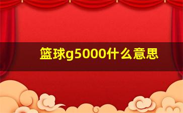 篮球g5000什么意思