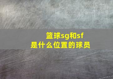 篮球sg和sf是什么位置的球员