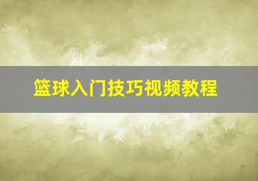 篮球入门技巧视频教程