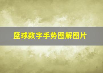 篮球数字手势图解图片