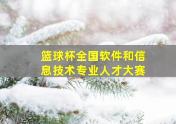 篮球杯全国软件和信息技术专业人才大赛