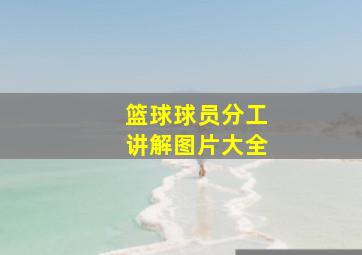 篮球球员分工讲解图片大全