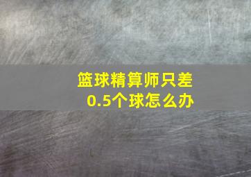 篮球精算师只差0.5个球怎么办