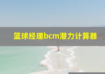 篮球经理bcm潜力计算器