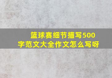 篮球赛细节描写500字范文大全作文怎么写呀