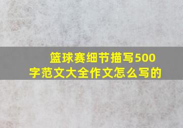 篮球赛细节描写500字范文大全作文怎么写的