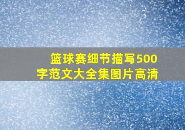 篮球赛细节描写500字范文大全集图片高清