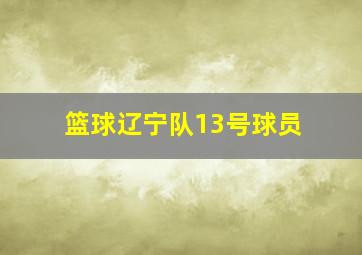 篮球辽宁队13号球员