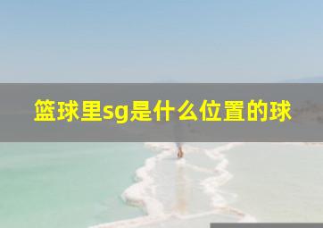 篮球里sg是什么位置的球