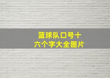 篮球队口号十六个字大全图片