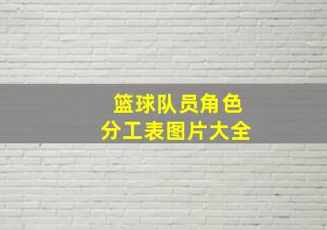 篮球队员角色分工表图片大全