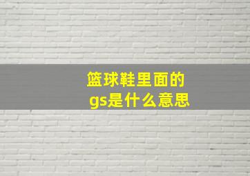 篮球鞋里面的gs是什么意思