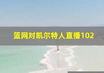 篮网对凯尔特人直播102