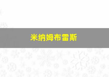 米纳姆布雷斯