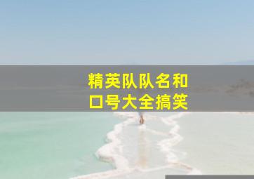 精英队队名和口号大全搞笑