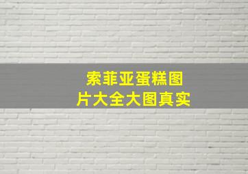 索菲亚蛋糕图片大全大图真实