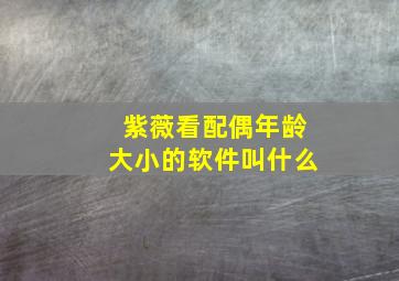 紫薇看配偶年龄大小的软件叫什么