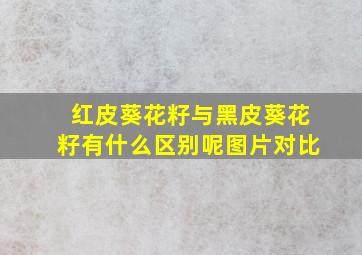 红皮葵花籽与黑皮葵花籽有什么区别呢图片对比