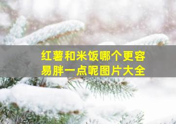 红薯和米饭哪个更容易胖一点呢图片大全