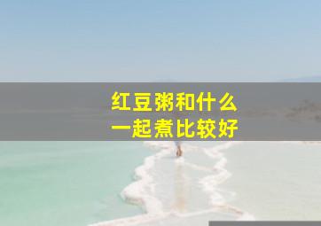 红豆粥和什么一起煮比较好