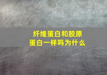 纤维蛋白和胶原蛋白一样吗为什么