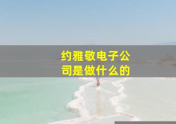 约雅敬电子公司是做什么的