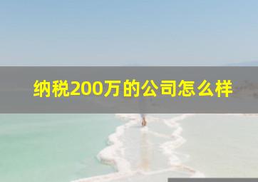 纳税200万的公司怎么样