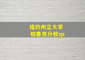 纽约州立大学柏鲁克分校qs