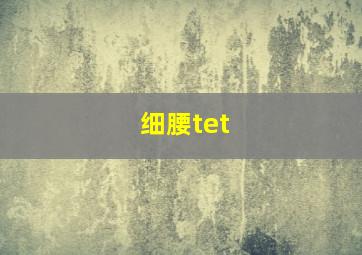 细腰tet