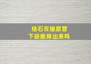 结石在输尿管下段能排出来吗