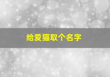 给爱猫取个名字