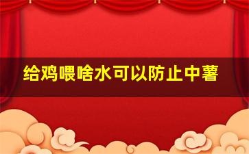 给鸡喂啥水可以防止中薯