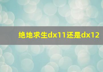 绝地求生dx11还是dx12