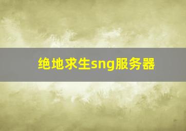 绝地求生sng服务器