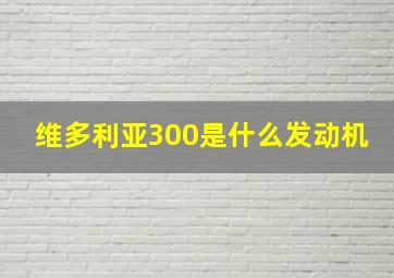 维多利亚300是什么发动机