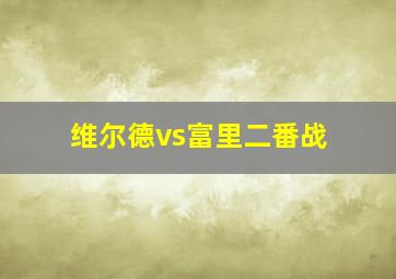 维尔德vs富里二番战