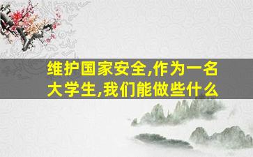 维护国家安全,作为一名大学生,我们能做些什么