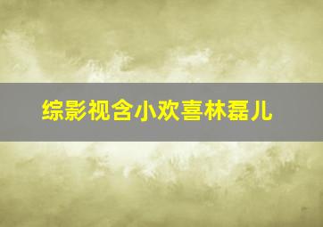 综影视含小欢喜林磊儿