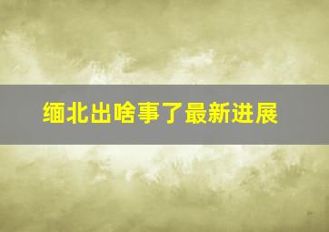 缅北出啥事了最新进展