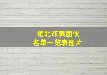 缅北诈骗团伙名单一览表图片