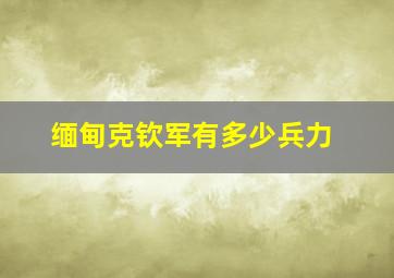 缅甸克钦军有多少兵力