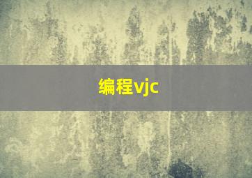 编程vjc