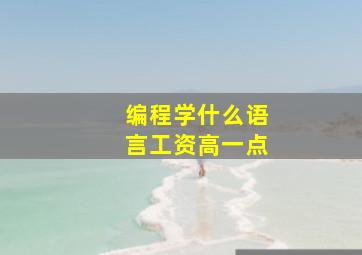 编程学什么语言工资高一点