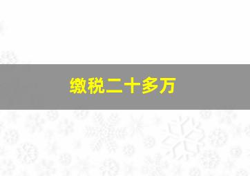 缴税二十多万