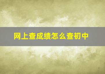 网上查成绩怎么查初中