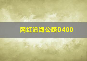 网红沿海公路D400