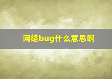 网络bug什么意思啊